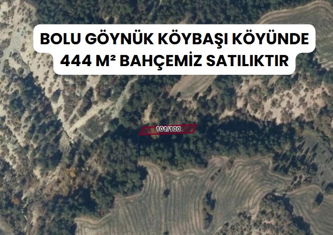 BOLU GÖYNÜK KÖYBAŞI KÖYÜNDE 444 M² BAHÇEMİZ SATILIKTIR. - BOLU GÖYNÜK fotoğraf 8